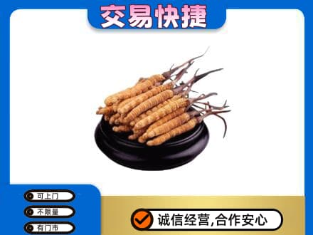 台湾花莲县礼品回收散虫草.jpg